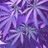 BIGJO65632016's profile image
