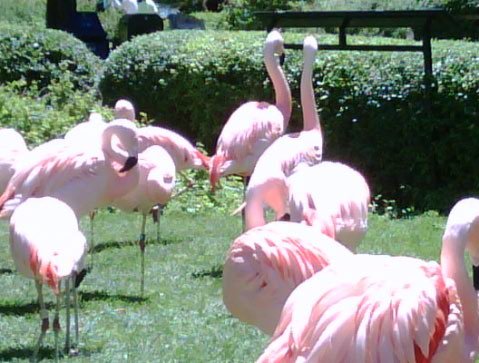 AvertingEntropy's profile picture. Finding my way on personal Twitter after the trauma of running a gov account. I tweet about #LODD and #EM, but also cute animals to stay sane