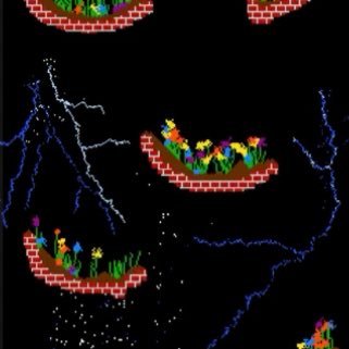 pickledsmile's profile picture. posts every six hours, dm for sources