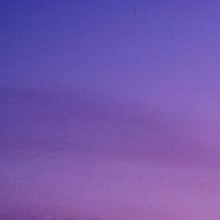 adi_poddar's profile picture. Strive to build a better future | Frontend | Trader | Rust | JavaScript | React  | Python | Go | WASM |  PWA | Ally | Perf | Web3