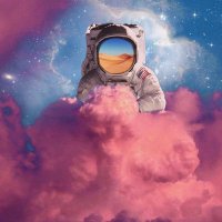Bomber (@can1bus) 's Twitter Profile