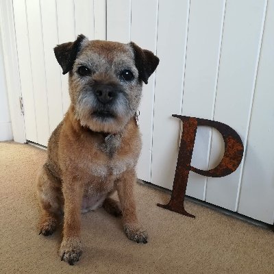 5/4/2024 🌈🐾
I take all my toys out in the garden & I don't bring them back.
Proud member #BTposse
🐾
#BTPNYH 2022 Damehood🎖️