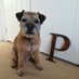 Dr Dame Pebble CBE (@PebbleBT) Twitter profile photo