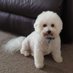 Bobbie Scott (@bobbie5881) Twitter profile photo Bobbie Scott (@bobbie5881) Twitter profile photo