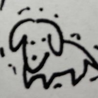 西瓜 (@nishiuriz) 's Twitter Profile Photo 西瓜 (@nishiuriz) 's Twitter Profile Photo