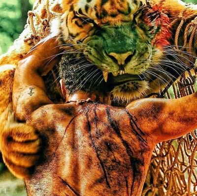 praveenkumark2's profile picture. 