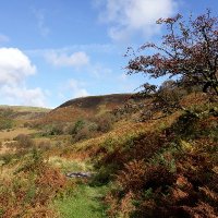Cambrian Mountains Society(@CambrianSociety) 's Twitter Profile Photo