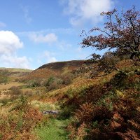 Cambrian Mountains Society (@cambriansociety) 's Twitter Profile Photo Cambrian Mountains Society (@cambriansociety) 's Twitter Profile Photo