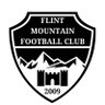 Flint_Mountain's profile picture. Members of JD Cymru North. Ardal North West League champions and NEWFA Cup winners 2023/24. Proudly sponsored by Double Time Distribution #VivaLaMountain 🏔️