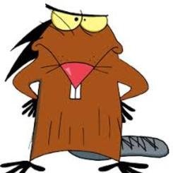 BandWBear's profile picture. Bear