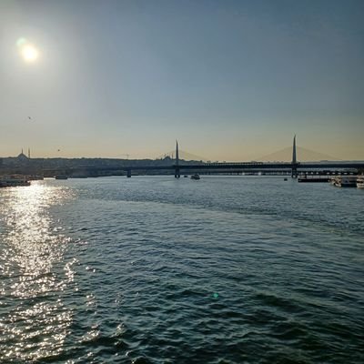 RicardoSariles's profile picture. Calisthenics
Value Kid