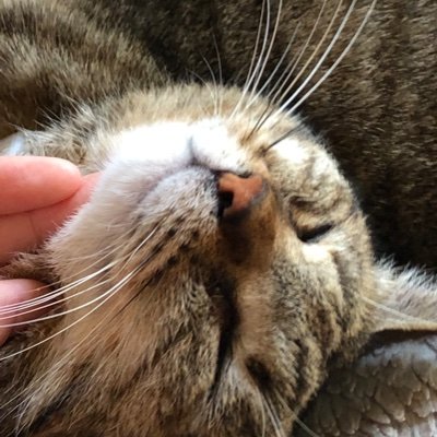 imz8vszEwrT8BFb's profile picture. 