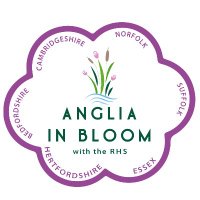 Anglia In Bloom (@angliainbloom) 's Twitter Profile