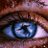 canseeulying's profile image