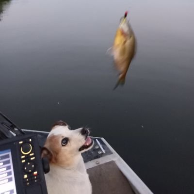 CookSoSpicy's profile picture. 