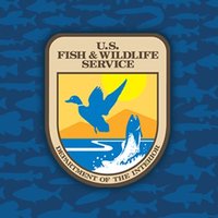 USFWS Fisheries(@USFWSFisheries) 's Twitter Profile Photo