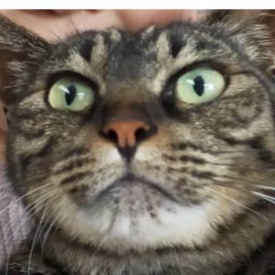 LastradaK's profile picture. 投資/副業/趣味(アニメ・音楽)#フォロバ100 #相互フォロー #フォロー支援