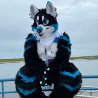 Reynard Husky 🔜 AO, FWA, AC, MFF?? (@reynardhusky) 's Twitter Profile