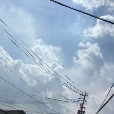 羽衣🍀️@ミトコンドリアになりたい葉緑体さんのプロフィール画像