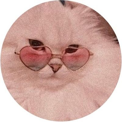 beth_stanleyy's profile picture. 😎