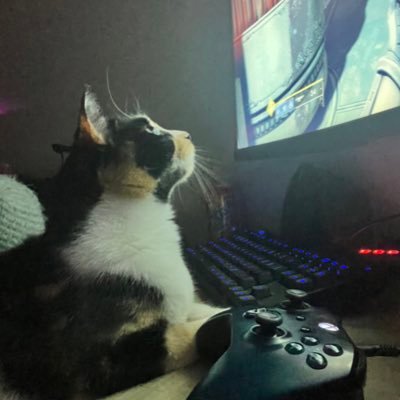 Female Gamer🎮~ Ferret Lover~ Obsessed w/ The Fifth Element~IG: feline_vox~