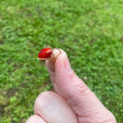 9toes's profile picture. No.