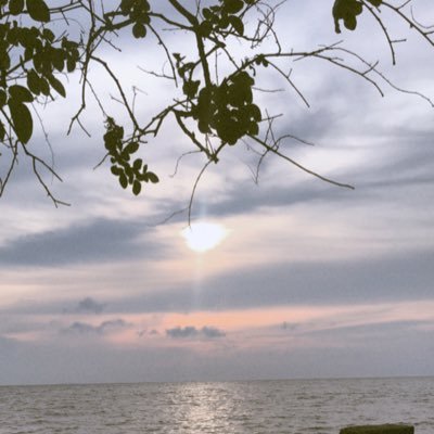 aintazkiah's profile picture. 