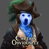 Captain Obviouslee (@capobviouslee) 's Twitter Profile
