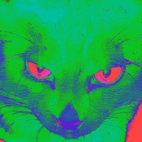 tacu🎸🌾⚙️ (@tacjcp) 's Twitter Profile
