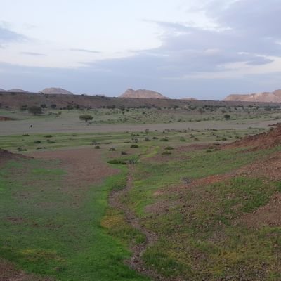 hmoodalfthi12's profile picture. عُمان وحقك يا موطني وأعظم بحق الوفا من قسم
سأحيا لحبك رغم الظروف ورغم الخطوب ورغم الألم