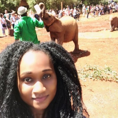 Digital Communications Consultant @AU_ECOSOCC | Content strategist & storyteller | Freelance experience with global brands | Focused on digital media