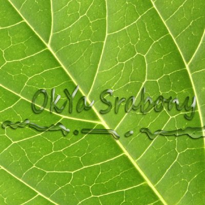 OSrabony's profile picture. Hello, I am Okya Sraboni from Bangladesh. Our family business is all kinds of graphics and design for photography work. I have 8 years of expertise in this fiel