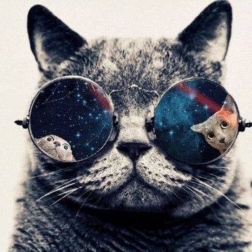 WebGuruLabs's profile picture. 