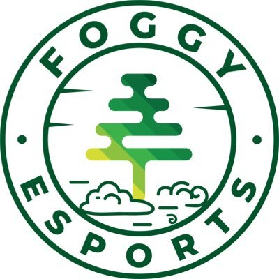 TeamFoggy's profile picture. Competitive Esports Organization: CSGO | Rocket League | Powered by @GLYTCHEnergy Code 'FOGGY' | Business inquiries: Inquiries@foggyesports.com