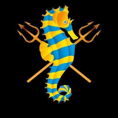 ohai_SF's profile picture. solana meme szn puts an end to all other szns.