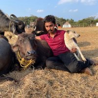 Sai Vignesh (@saivignesh2000) 's Twitter Profile