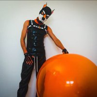 Pup Swatch (@pupswatch) 's Twitter Profile