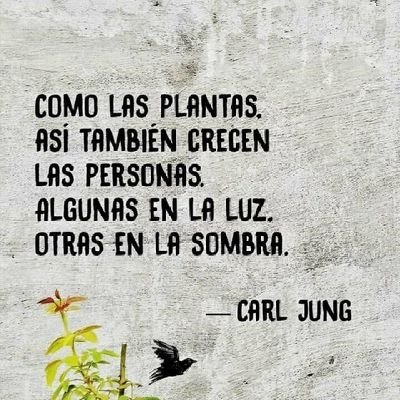 Hay un lugar donde nada te puede lastimar, donde no tienes precio y vales sólo por lo que eres. Es un punto de no retorno: la dignidad Walter Riso