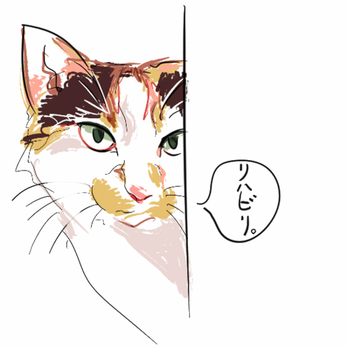 にゃおっくさんのプロフィール画像