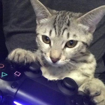 mir_mgo's profile picture. 趣味垢 MGO APEX BDO Rafflesia みら