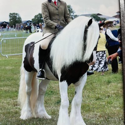 LottieCarney15's profile picture. Rhinos till I die 💙💛💙💛
marching on together
ALAW 
south stand