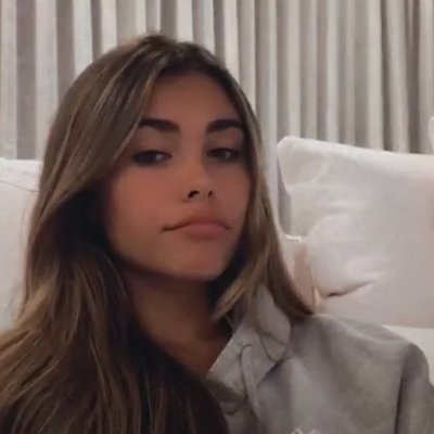 Stier Profile