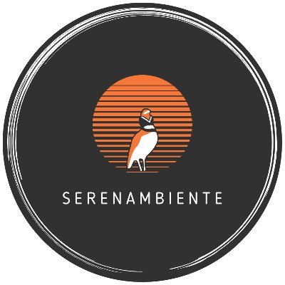 serenambiente Profile Picture