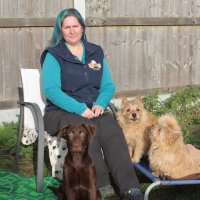 Joe Nutkins ~ KC Accredited Dog Trainer (@cassntay) 's Twitter Profile