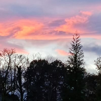 Light microscopy facility manager at MRC Centre for Virus Research, University of Glasgow. Views are my own.
