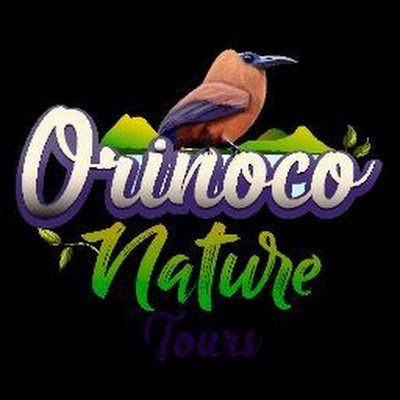 Orinoco Nature Tours, empresa especializada en la observación de aves