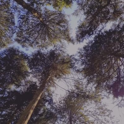 mbatharose90's profile picture. ✌