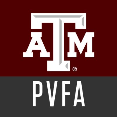 Welcome to the Texas A&M School of Performance, Visualization & Fine Arts! #TAMUpvfa