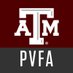 Texas A&M Performance, Visualization & Fine Arts (@TAMUpvfa) Twitter profile photo