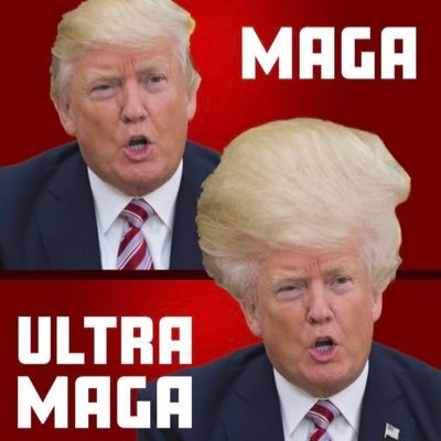 TimRosch2's profile picture. M A G A